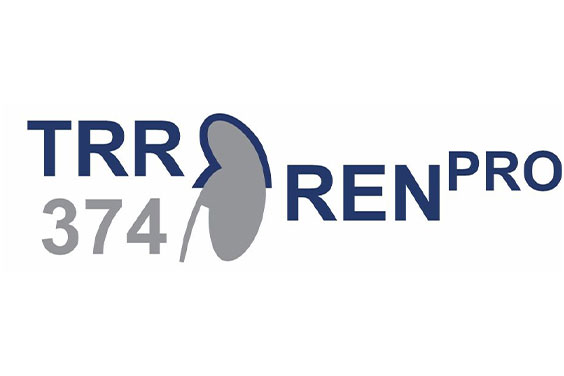 Logo TRR374