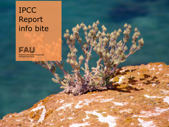 What are the goals of climate change adaptation?