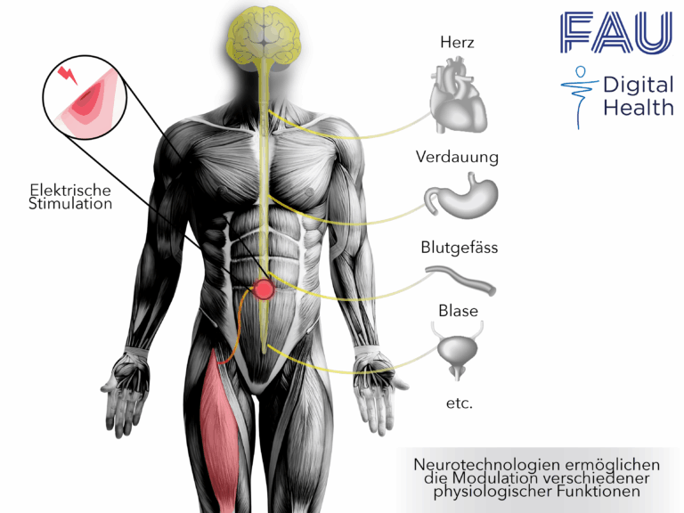 New medical advances thanks to digital twins